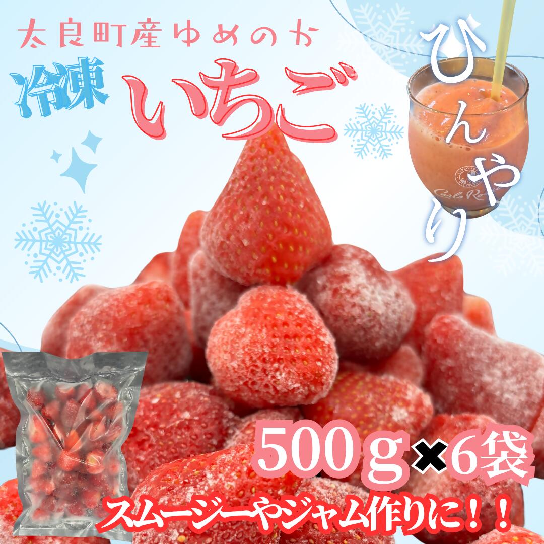 【ふるさと納税】OA9 訳あり！太良町産「ゆめのか」冷凍いちご500g×6袋 佐賀県 太良町