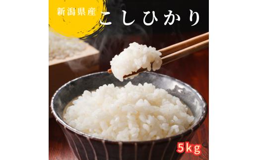 JAえちご中越指定米　R6年産 新潟産コシヒカリ　精米5kg