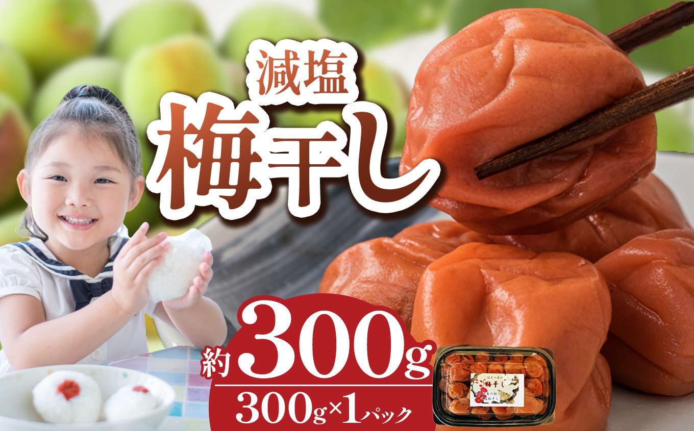 
                  【 栃木県産 】梅干し 約300g | 梅 梅干し 減塩 手摘み 天然 天日干し 手作り 塩漬け  栃木県 しもつけ市 下野市
                