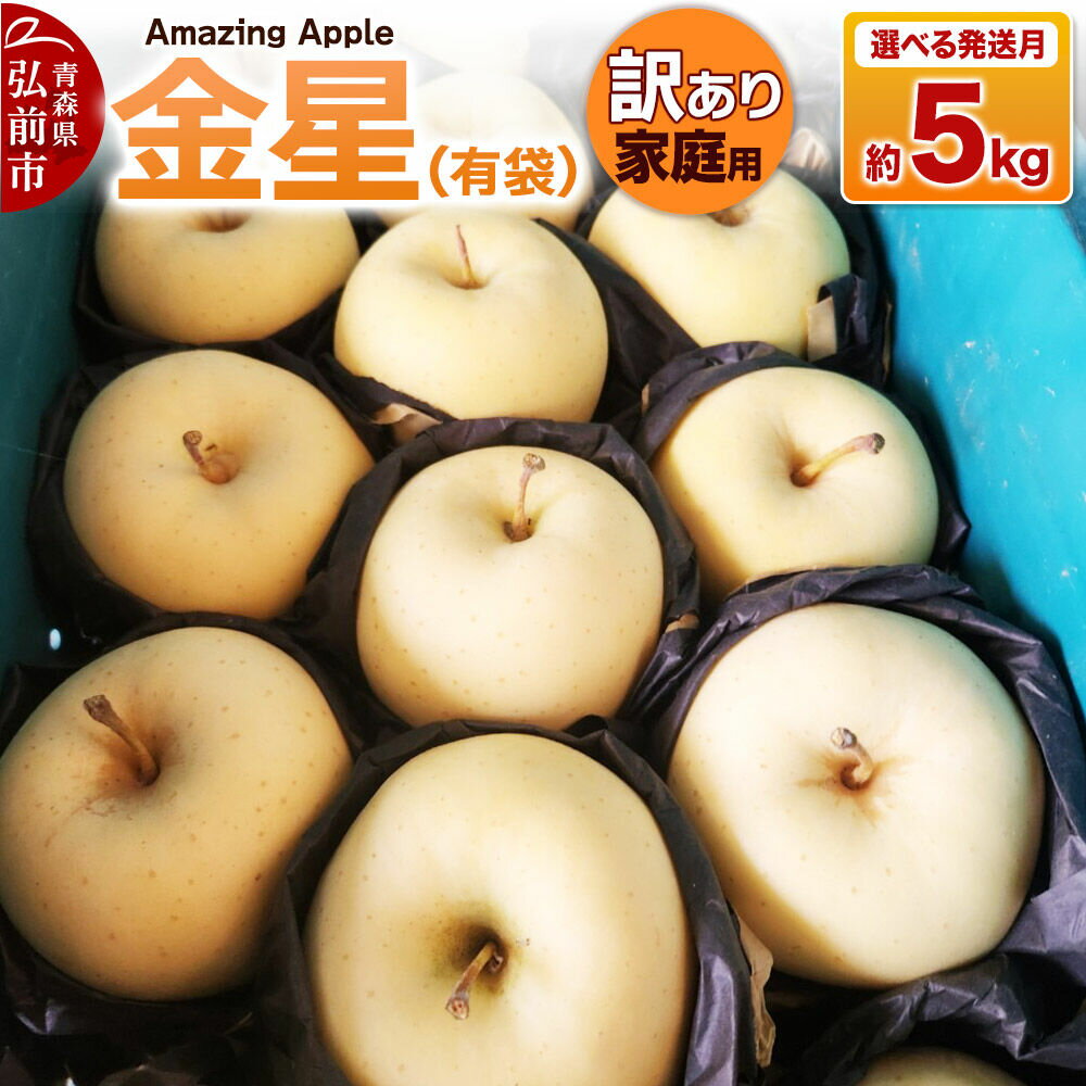 【ふるさと納税】りんご 金星（有袋）【訳あり】家庭用 約5kg【選べる発送月】 [りんご 金星 有袋 訳あり 家庭用 選べる 5kg アップル おいしい 果実 果物 黄色 美味 林檎 青森県 弘前市]