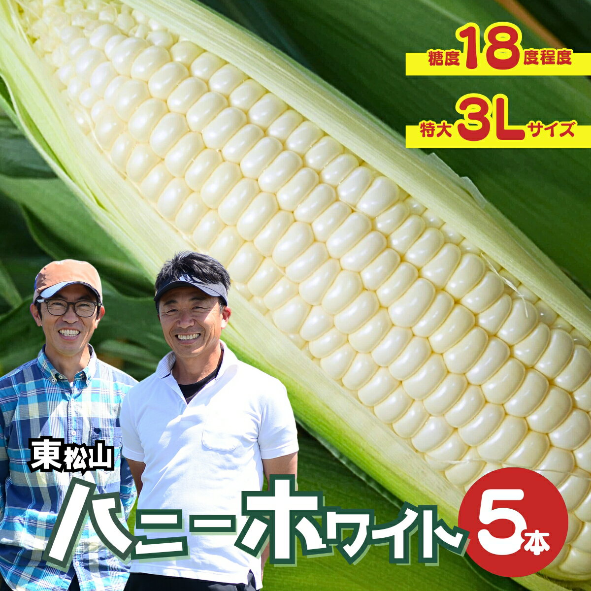 【ふるさと納税】＜先行予約＞ 東松山ハニーホワイト 5本 特大サイズ(3L) | とうもろこし 白とうもろこし トウモロコシ ハニーホワイト 野菜 旬の野菜 新鮮 サラダ 夏野菜 朝採れ 農家直送 人気 期間限定 数量限定 贈り物 贈答 プレゼント 商標登録 埼玉県 東松山市