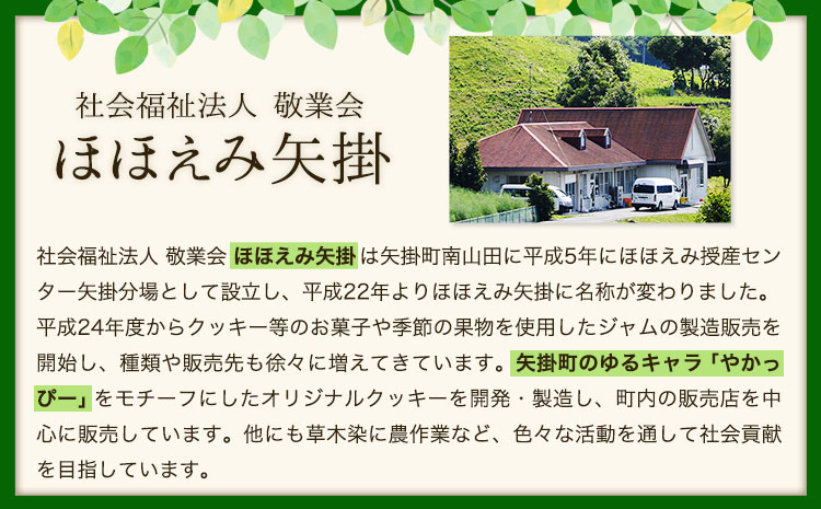 やかっぴークッキー&洋菓子(おまかせ)詰め合わせセットB ほほえみ矢掛《60日以内に出荷予定(土日祝除く)》 パウンドケーキ---osy_hohosetb_60d_24_13500_b---