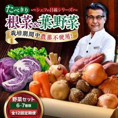 ふるさと納税 大洲市 【全12回定期便】  根菜×葉野菜 6から7種 単身・二人暮らし用セット [AGBX054]