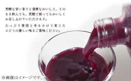 農薬不使用ぶどうジュース（ベリーＡ）【2025年10月から順次発送】