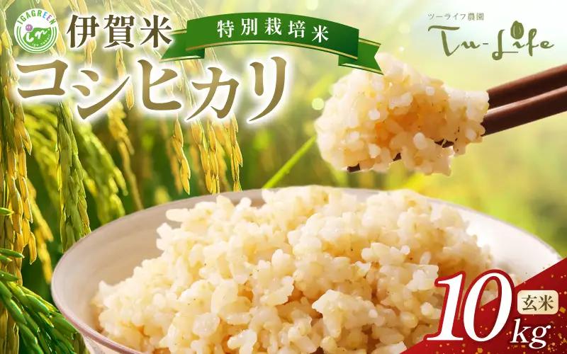 お米 特別栽培米・伊賀米コシヒカリ 10kg〈玄米〉【tuli0006A】 