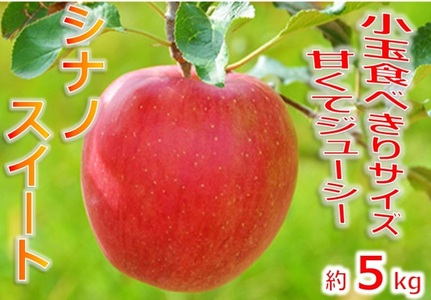 【010-a4】信州のりんご　シナノスイート　厳選！小玉食べきりサイズ！　約5キロ