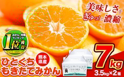 【2025年先行予約】訳あり みかん ひとくちもぎたてみかん 約 7kg (3.5kg×2箱) S-3Sサイズ 訳あり ご家庭用 熊本県産 （荒尾市産含む） 期間限定 フルーツ 果物 旬 冬 柑橘 小玉 みかん《2025年10月中旬-12月末頃出荷》