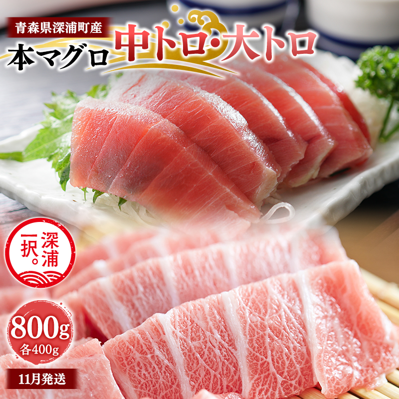 青森県深浦町産 天然本マグロ 中トロ 大トロ 800g 各400g 食べ比べ 冷凍柵 深浦マグロ 刺身 海鮮 鮪 まぐろ【fu-0015-025_11】
