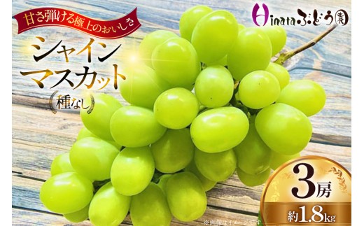 【期間限定発送】 シャインマスカット 3房 約1.8kg [Ｈinataぶどう園 山形県 高畠町 tk06ayt190012] フルーツ 果物 くだもの ぶどう ブドウ 葡萄 種なし 1.2キロ 甘い