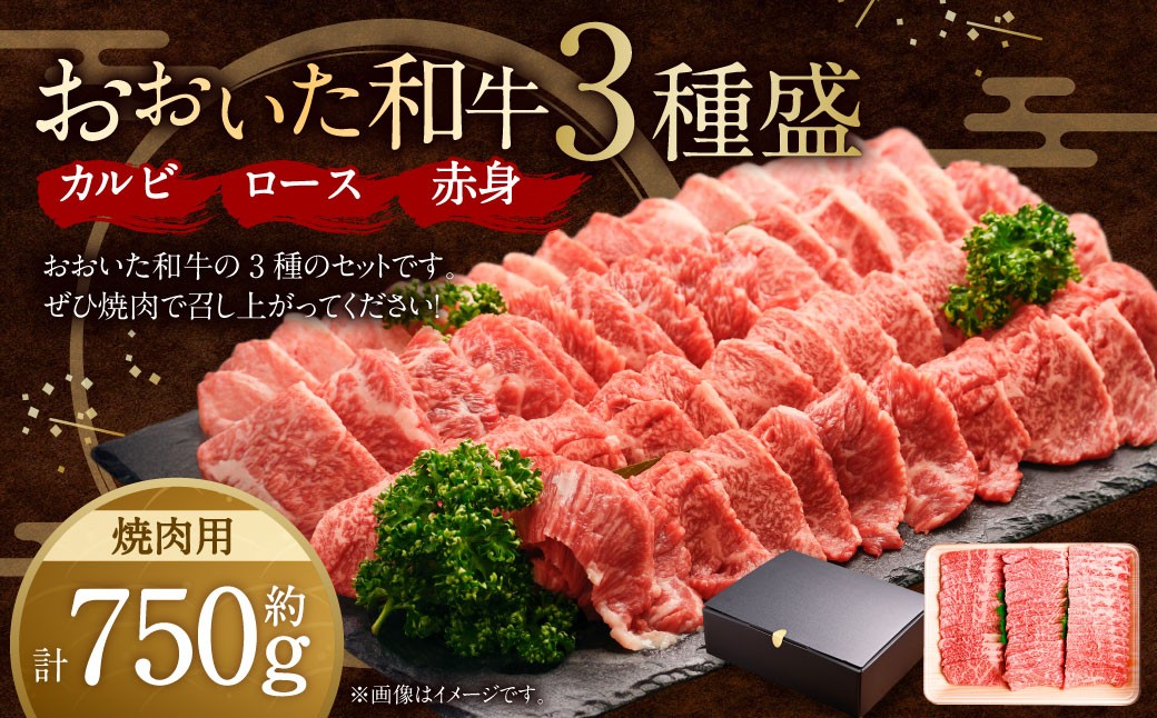 
            おおいた和牛 焼肉 にピッタリ！牛肉の3種盛（ カルビ ・ ロース ・ 赤身 ）（ 合計約 750g ）
          