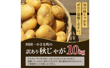 【四国一小さなまちのじゃがいも】★令和５年１２月中旬発送開始★ 大野台地で採れた『 令和５年産 秋じゃが 』 １０ｋｇ　～ 訳あり ～