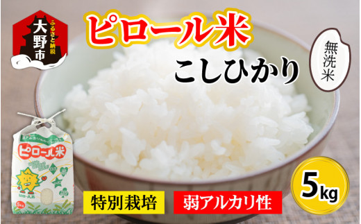 【令和7年産】こだわりの米！弱アルカリ性のピロール米 こしひかり 無洗米 5kg [A-009003]