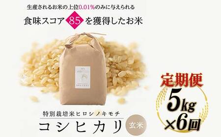【6回定期】特別栽培米 コシヒカリ ヒロシノキモチ 玄米 5kg 総計30kg 陽咲玲 米 お米 コメ ご飯 ごはん 富山県産 富山県 立山町 F6T-1003