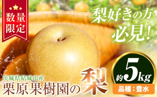 【先行予約】栗原果樹園 梨 5kg  豊水 《8月下旬-9月中旬頃出荷予定》茨城県 結城市 なし 梨 フルーツ 旬 果物 【配送不可地域あり】(離島)