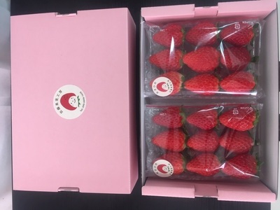 《2026年産先行予約》「西脇市産 佐藤果実工房のよつぼし」（1箱２パック）【佐藤果実工房 全国いちご選手権銀賞受賞農園 TVで紹介!】令和８年３月上旬配送分（07-45）