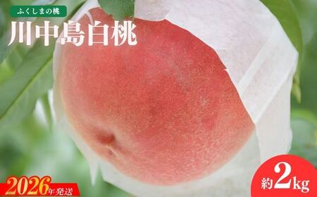 No.2687もも「川中島白桃」約2kg【2026年発送】