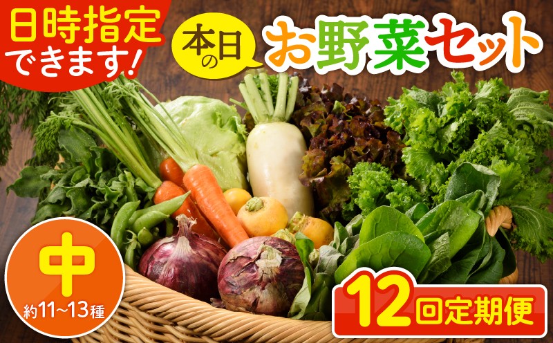 
                  【12回定期便】日時指定OK！本日のお野菜セット 〈中サイズ/約11～13種〉 2～3人用 新鮮 産地直送 野菜詰め合わせ 有機栽培 野菜 果物 野菜セット 野菜定期便 送料無料 【オーガニックのまち 宮崎県綾町】_A0053-008
                