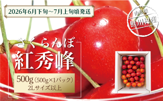 【令和8年産】 鮭川村産さくらんぼ ＜紅秀峰＞ 特秀2Lサイズ以上バラ詰め 500g