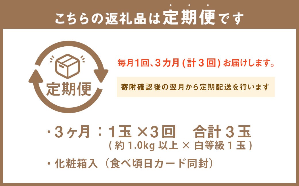 【3ヶ月定期便】静岡県産 高級 アローマメロン 白等級 1玉 約3.0kg以上 化粧箱入