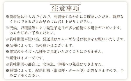 和歌山の旬の果実を 奇数月にお届け全6回定期便【TM49】