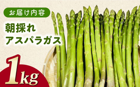 訳あり！朝採れアスパラガス１kg 《対馬市》【農家くんのアスパラファーム】  冷蔵 アスパラ とれたて 新鮮 野菜　産地直送 1万円 10000円[WCT001]