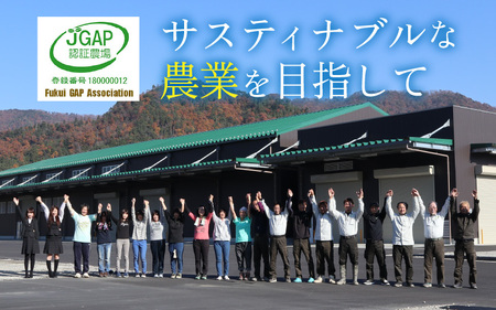 【先行予約】とうもろこし 10本 おおもの 黄色 朝採り【2024年7月上旬より順次発送】[A-002024]