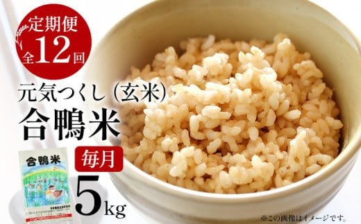 令和7年産 新米予約 合鴨米「元気つくし」（玄米・5kg）定期便12回コース　数量限定 ※令和7年10月スタートの定期便 BI11