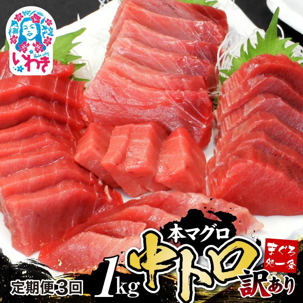 【定期便/計3回】訳あり 本マグロ(6-8人前) 