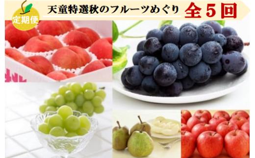 08-08-045　天童特選秋のフルーツめぐり(定期便)全5回