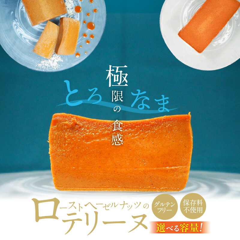 【ふるさと納税】ローストヘーゼルナッツ テリーヌ 選べる 容量 約 200g 600g グルテンフリー 保存料不使用 ヘーゼルナッツ 手づくり なめらか 濃厚 スイーツ デザート ケーキ チョコレート ショコラ 専門店 冷凍 お取り寄せ お取り寄せスイーツ 愛知県 碧南市 送料無料