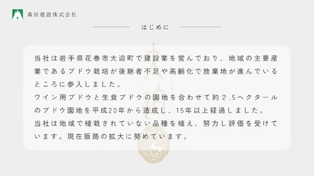 【数量限定】「早池峰の恵み」モリタワイン　ダム貯蔵熟成　赤・白ワイン 年代別飲み比べコンプリートセット 【2199】