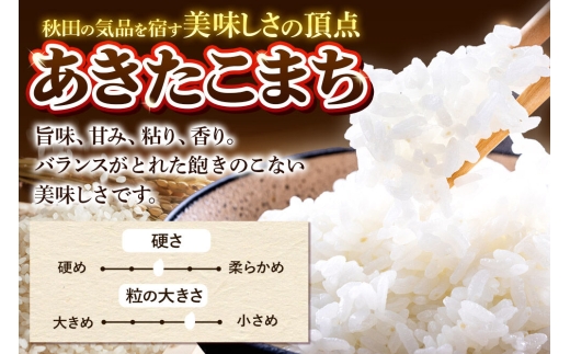 《令和8年産 新米》《定期便9ヶ月》米 あきたこまち 10kg（5kg×2袋）【白米】秋田県産 [新米 米 コメ 白米 あきたこまち おいしい 美味しい 安全 自然の恵み]
