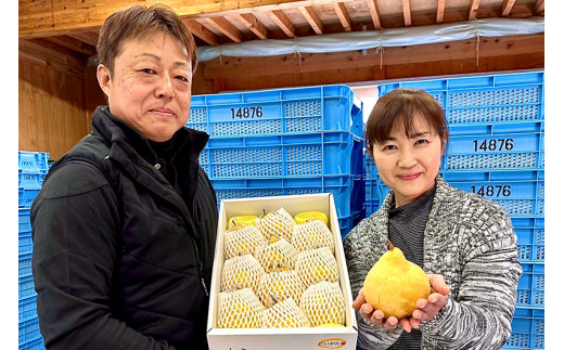 【2026年先行予約】【家庭用】西洋梨ル・レクチェ 約4㎏（9～12玉）〈11月下旬～順次出荷〉 ルレクチェ ル・レクチエ ルレクチエ 幻の洋梨 フルーツ 贈答 冬の味覚 加茂市 いずみ果樹園