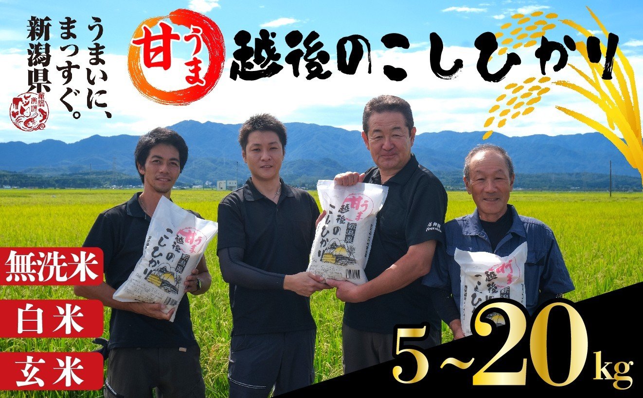 
            先行予約 令和7年産 甘うま越後の コシヒカリ こしひかり 選べる 5kg 7kg 10kg 20kg 無洗米 白米 玄米 米 お米 新潟 新発田 斗伸 toushin003_02P
          