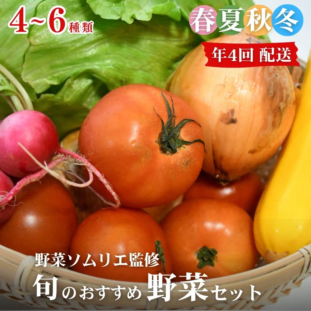 【ふるさと納税】【年4回定期便】春夏秋冬 野菜ソムリエ監修 旬のおすすめ野菜詰め合わせ 4〜6種類 定期便 野菜 獲れたて 直送 旬 熊本県 多良木町 ソムリエ 厳選 おまかせ おすすめ セレクト お試し 024-0817