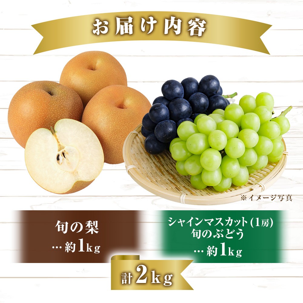 写真はイメージです。状態の良い旬のものを送るので品種は状況により変わります。