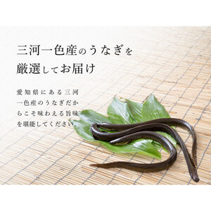 炭火手焼き☆三河一色産 ひつまぶし きざみうなぎ蒲焼  6人前【配送不可地域：離島】【1588973】