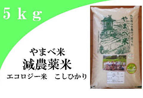 【玄米】減農薬米（こしひかり100％）５ｋｇ【お米 5kg 令和6年産 先行予約 2024年産 コシヒカリ 島根県産 大田市産 エコロジー米 玄米 エコファーマー認定 減農薬 減化学肥料 ダイエット】