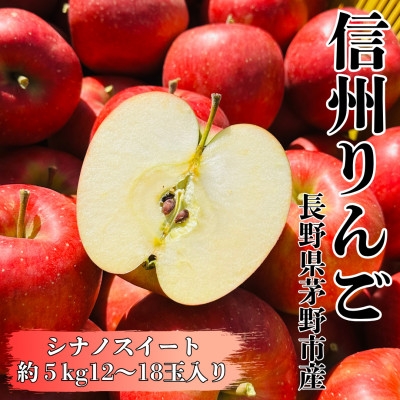 【2026年追加受付開始】長野直送!信州八ヶ岳のりんごシナノスイート約5kg(12～18玉)蓼科高原【1605264】
