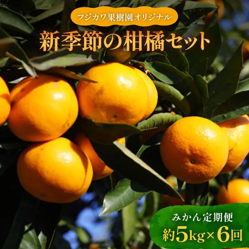 【6回 頒布会】みかん 定期便 6回 フルーツ フジカワ果樹園オリジナル（新季節の柑橘セット） 果物 詰合せ  FAH-0040
