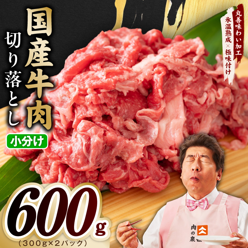 【期間限定】国産牛 切り落とし 600g 小分け 300g×2P【スピード発送 氷温熟成×極味付け 国産 牛肉 訳あり サイズ不揃い カレー 牛丼 野菜炒め 肉じゃが】 mrz0360-1