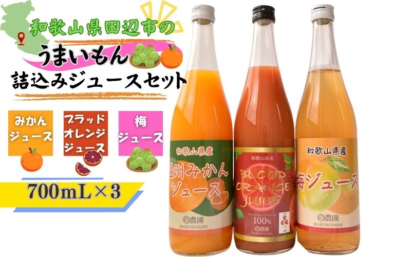 和歌山県田辺市のうまいもん詰込みジュースセット / 和歌山県 田辺市 みかんジュース７００mL 梅ジュース700ｍL ブラッドオレンジジュース700ｍｌ  和歌山県産【mrn024】