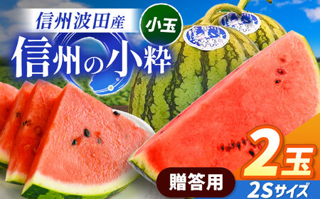 【先行受付：2026年発送】信州波田産 小玉スイカ！信州の小粋 【贈答】 2玉  2Sサイズ｜ふるさと納税 長野県 信州 松本 果物 フルーツ すいか スイカ 西瓜 贈答 季節限定 甘い くだもの ふるーつ