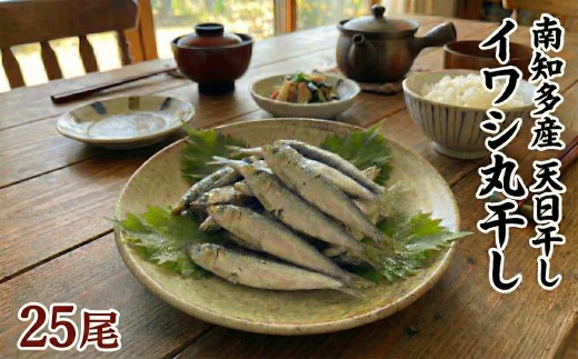 ＜篠島産＞ 訳あり いわしの丸干し 25尾 南知多産 愛知