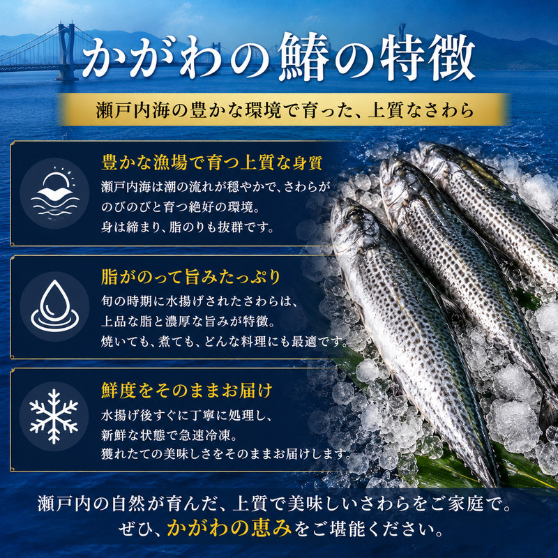 新鮮 とれたて 香川県産 特大さわら(片身) 1.0kg以上 さわら サワラ 鰆 魚 魚介 魚介類 切り身 片身 冷蔵 香川 香川県
