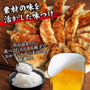 手包み ジャンボ スタミナ 餃子 45個 冷凍 【 餃子 】