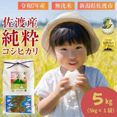 ふるさと納税 佐渡市 数量限定【令和7年産】新潟県佐渡産の純粋コシヒカリ　精米【無洗米】5kg　(1回のみ)