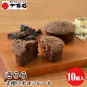 【ふるさと納税】No.446 きらら2種のチョコレート　10個入 ／ 焼菓子 おやつ デザート ホワイトチョコ ココアパウダー 送料無料 埼玉県