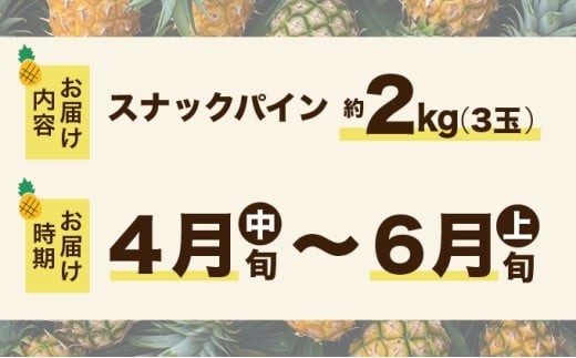 2027年 先行予約 スナックパイン 約2kg 3玉 西表島ひらい農園 パイナップル 果物 フルーツ パイン　027-a009-2027