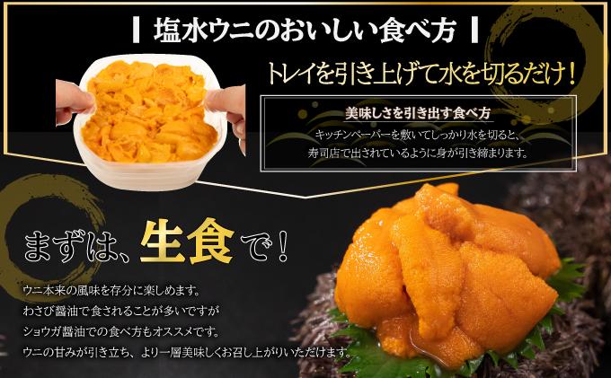 【JALふるさと納税限定】極上 北海道 噴火湾産 塩水 バフンウニ 100g 1パック ミョウバン不使用 うに ウニ 雲丹 海鮮 海の幸 魚介類 ウニ丼 お寿司 濃厚 無添加 産地直送 産直 お取り寄